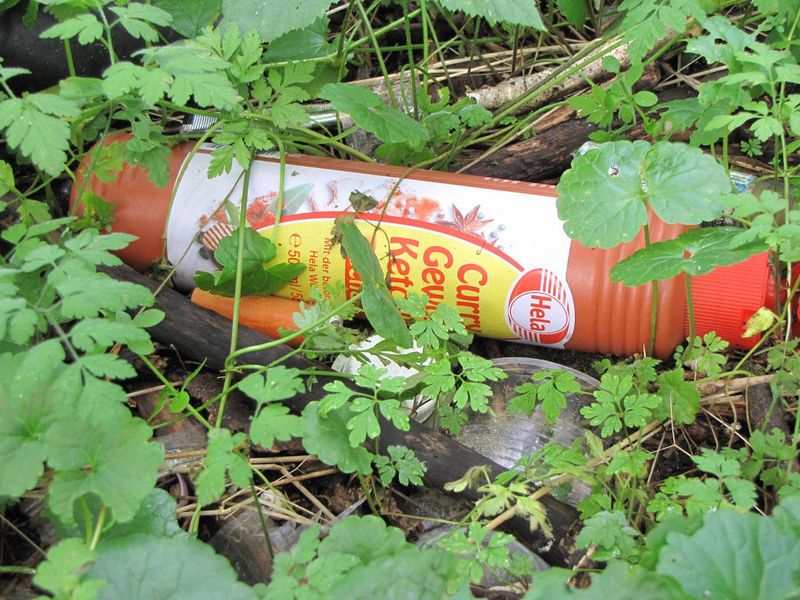RhineCleanUp 2021 - Die Dokumentation