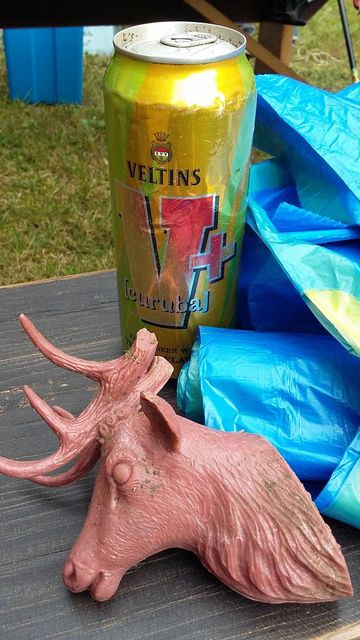 RhineCleanUp 2021 - Die Dokumentation