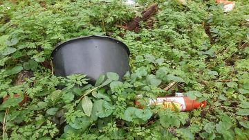 RhineCleanUp 2021 - Die Dokumentation