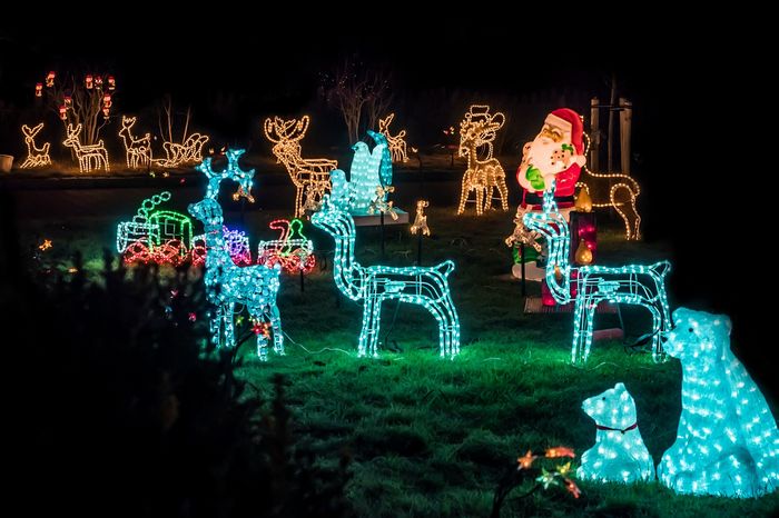Weihnachtsbeleuchtung mit bunten Lichterketten in einem dunklen Garten