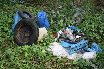 RhineCleanUp 2021: Große Teile