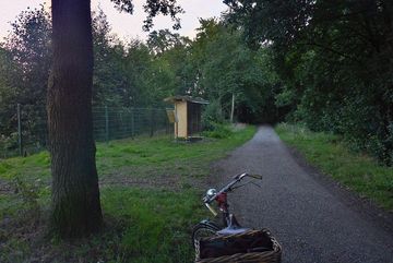 Insektenhotel in Schermbeck in der Straße "Im Bruch"