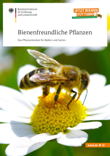 Broschüre Bienenfreundliche Pflanzen für Garten und Balkon (BMEL)