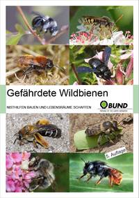 Manfred Radtke: Gefährdete Wildbienen - Broschüre der BUND-Kreisgruppe Rotenburg