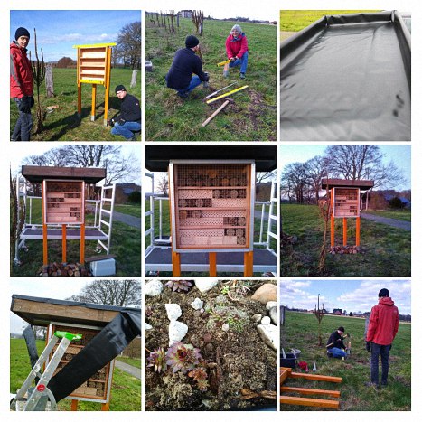 Collage: Aufbau des Insektenhotels auf der Insektenoase in Hünxe
