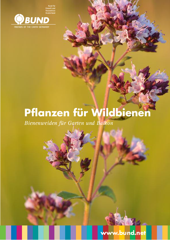 BUND-Broschüre Pflanzen für Wildbienen 