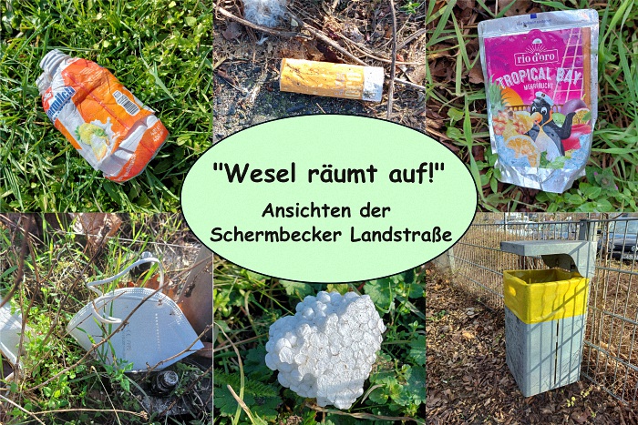 Entlang der Schermbecker Landstraße: Achtlos weggeworfener Müll und ein leerer Abfallkorb